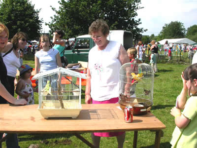 Myddle Fete 2005