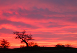Sunset 19/11/08